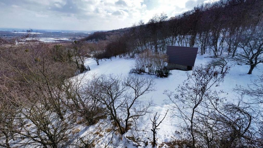 Na predaj unikátna útulná chata na okraji lesa – Malé Karpaty TOP