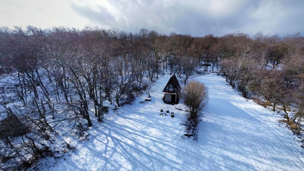 Na predaj unikátna útulná chata na okraji lesa – Malé Karpaty TOP