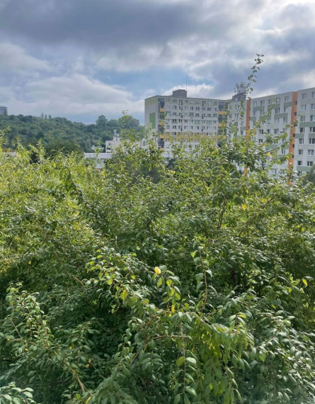 Na prenájom útulný a priestranný 3-izbový byt o výmere 70 m2 na ul. Adámiho - Bratislava IV TOP