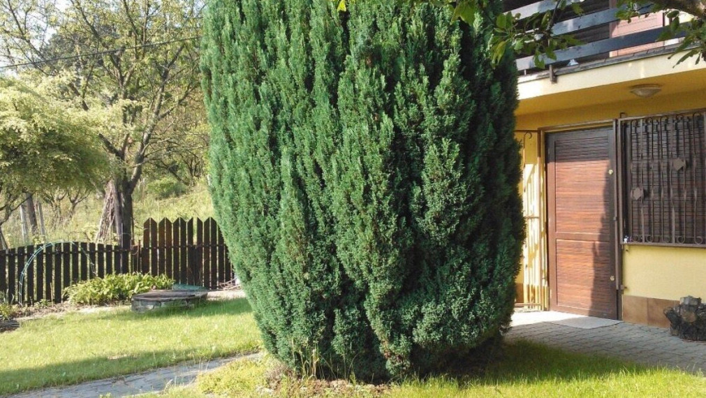 Na predaj 17-ročná rekreačná chata situovaná v obľúbenej oblasti Krčace v Bratislave IV TOP