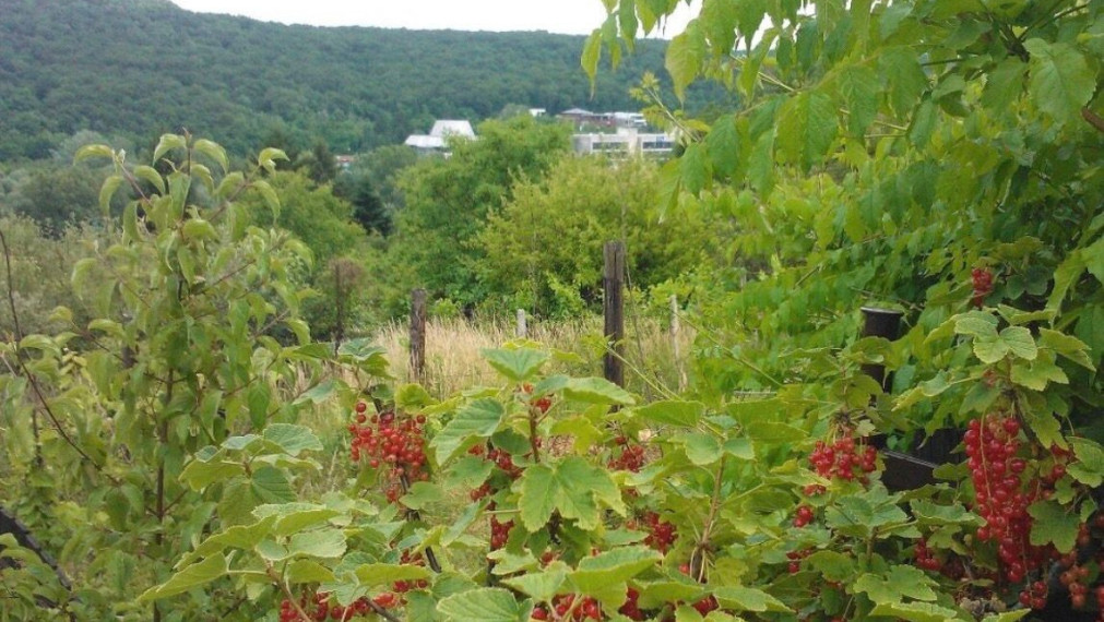 Na predaj 17-ročná rekreačná chata situovaná v obľúbenej oblasti Krčace v Bratislave IV TOP