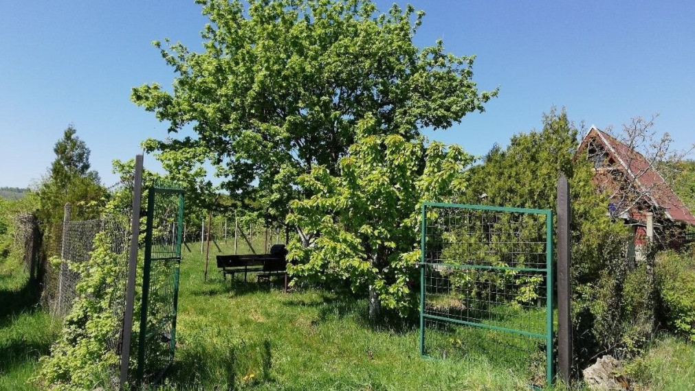 Na predaj krásna rekreačna záhradu o výmere 2169m², Pezinok