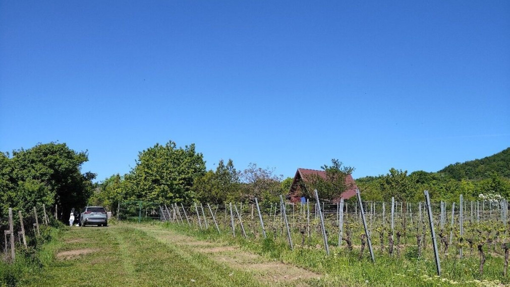 Na predaj krásna rekreačna záhradu o výmere 2169m², Pezinok