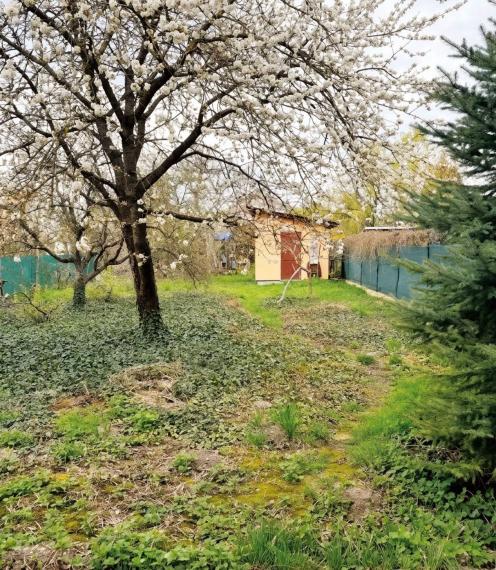 Na predaj samostatne stojaci 4-izbový murovaný rodinný dom TOP