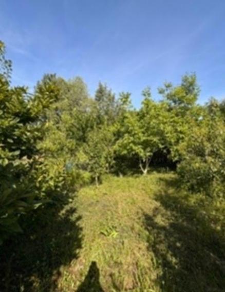 Na predaj záhrada s výmerou 444 m2, situovanú v tichej záhradkárskej oblasti 