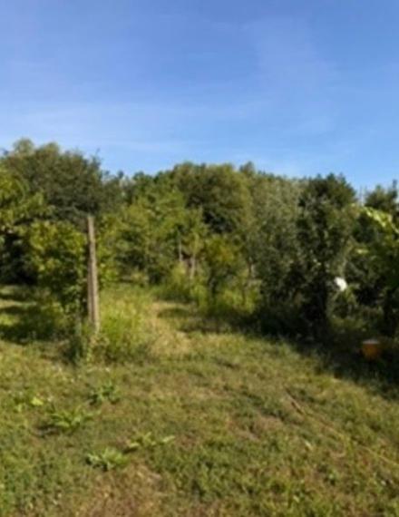 Na predaj záhrada s výmerou 444 m2, situovanú v tichej záhradkárskej oblasti 