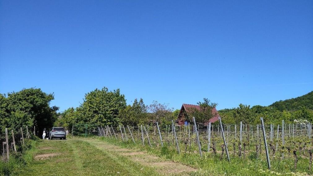 Na predaj rekreačná chatka s veľkým slnečným pozemkom pri Kučišdorskej doline – Pezinok TOP