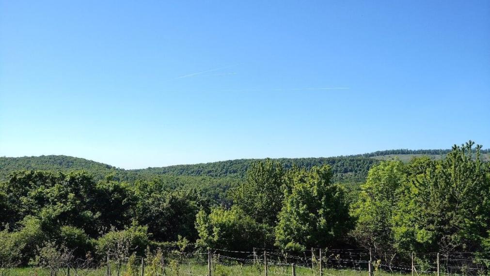 Na predaj rekreačná chatka s veľkým slnečným pozemkom pri Kučišdorskej doline – Pezinok TOP