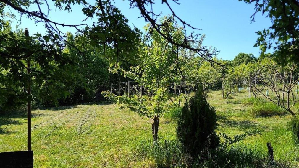 Na predaj rekreačná chatka s veľkým slnečným pozemkom pri Kučišdorskej doline – Pezinok TOP