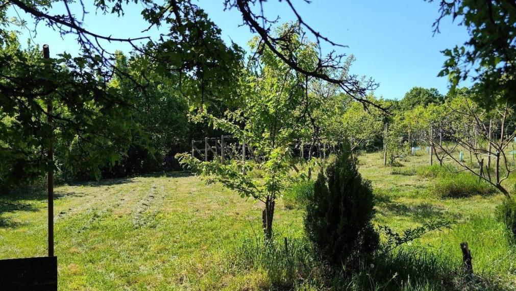 Na predaj rekreačná chatka s veľkým slnečným pozemkom pri Kučišdorskej doline – Pezinok TOP