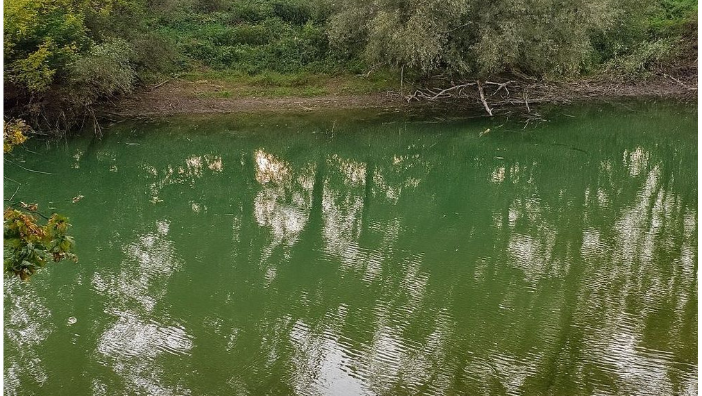 Exkluzívny rekreačný pozemok (500 m²) s prístupom k vode pri ramene Dunaja