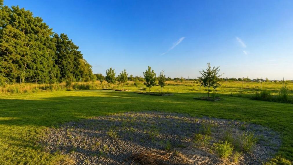 Na predaj rekreačný pozemok s výmerou 1113m2 - Čunovo 