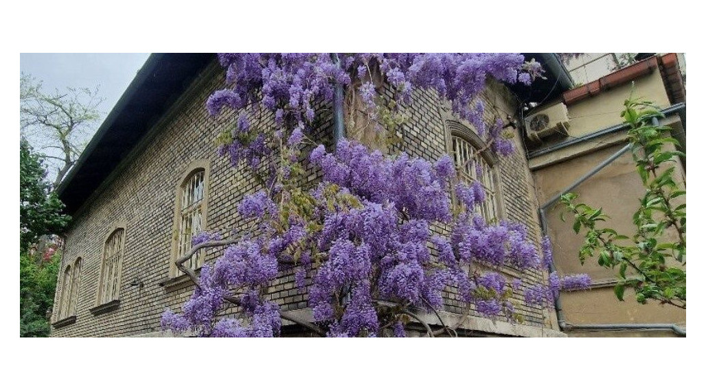 Štýlový 4-izbový byt v dome pod Slavínom s panoramatickým výhľadom TOP