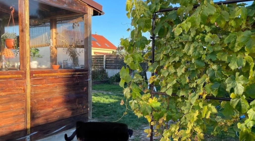 Záhrada na predaj TOP