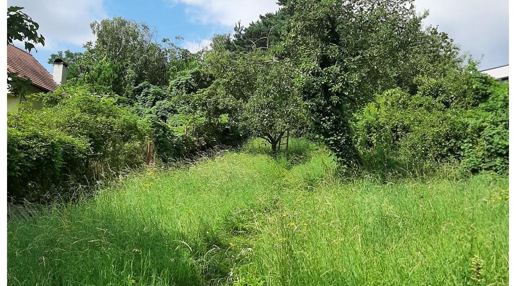 Pozemok na predaj - Stupava