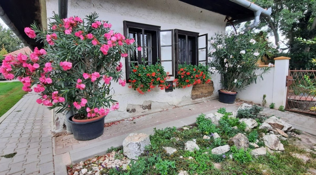 Vidiecky dom, Veľký Lapáš