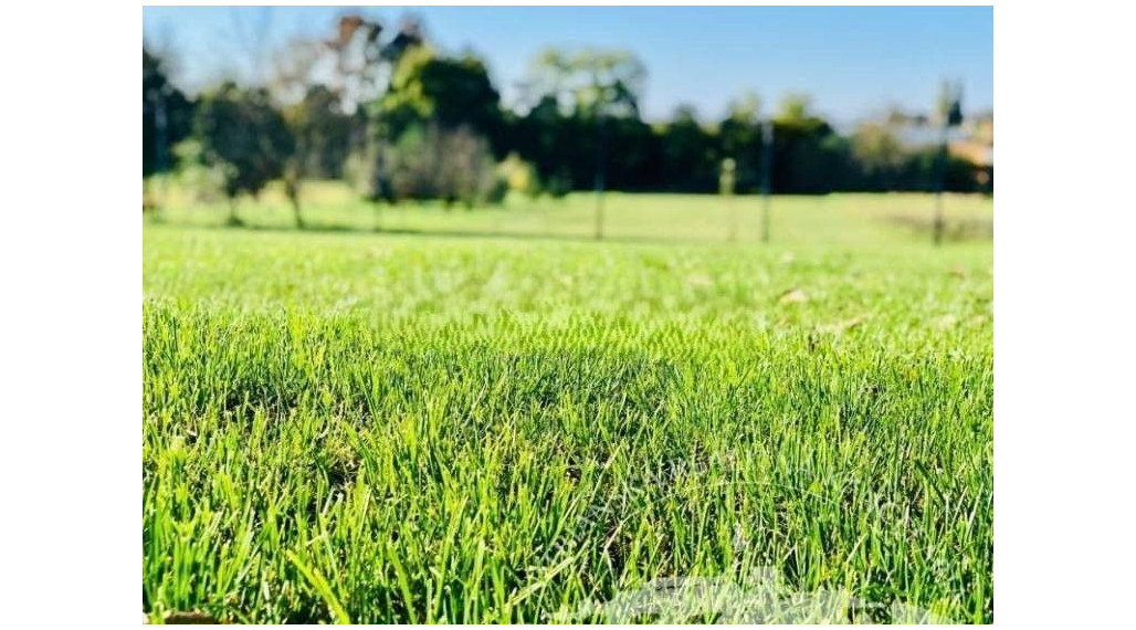 Na predaj - stavebný pozemok ul. Ladislava Dérera, Bratislava III