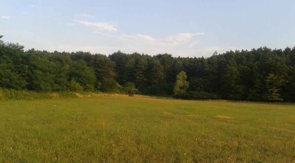 Stavebný pozemok, Jablonové, okres Malacky