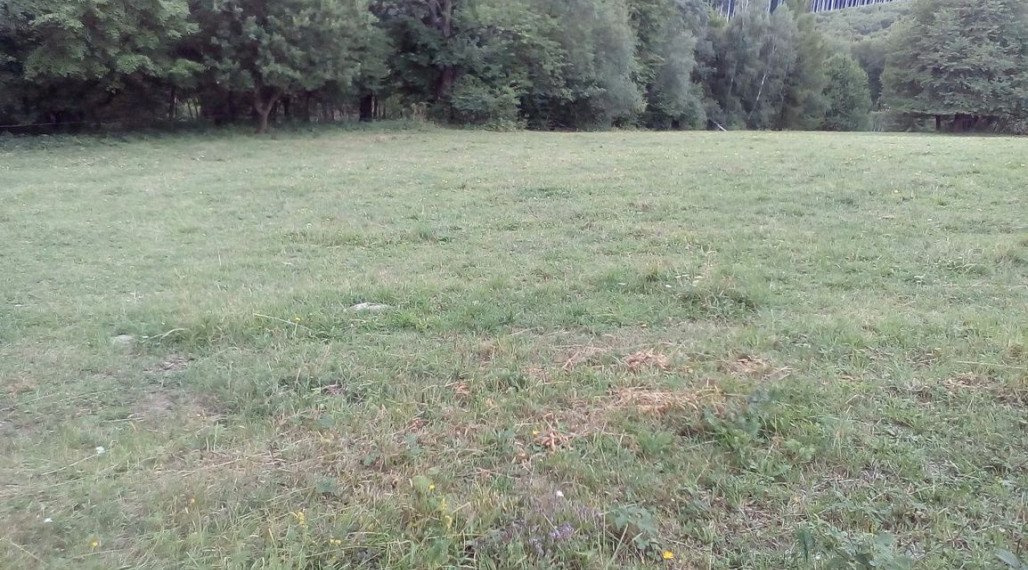 11 200 m2 Pozemok  - lúka (trvalý trávny porast ) na predaj