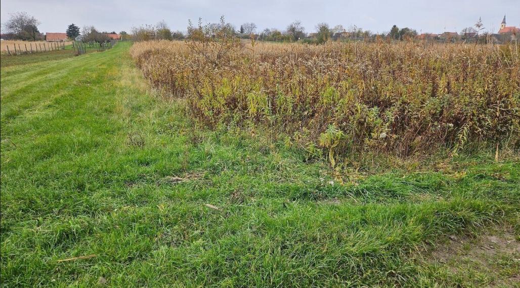 Investičný pozemok v meste Stupava