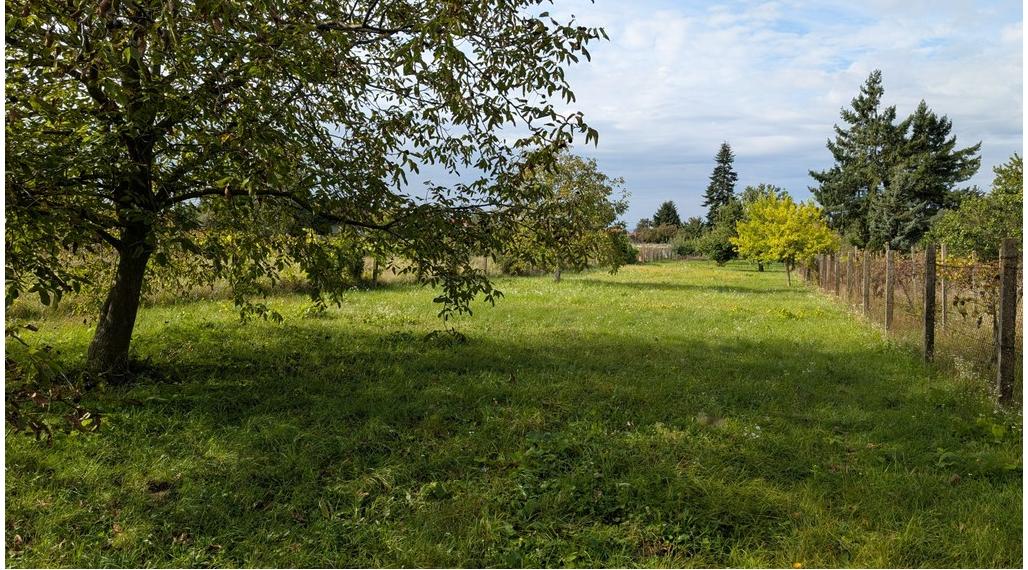 Stavebný pozemok, Viničné