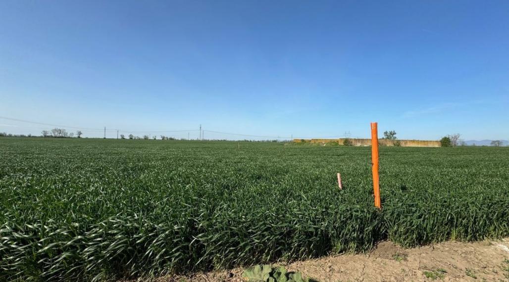 Investičný pozemok, Malženice, okres Trnava