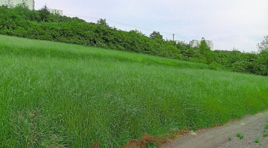 Pozemok, Jelšové,  Považská Bystrica 