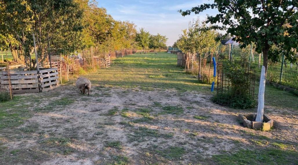 EXKLUZÍVNE - Stavebný pozemok vo Zvončíne, 990m2 TOP