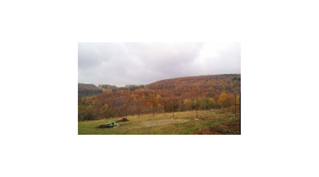 Pozemok – záhrada, Dolná Súča, okres Trenčín