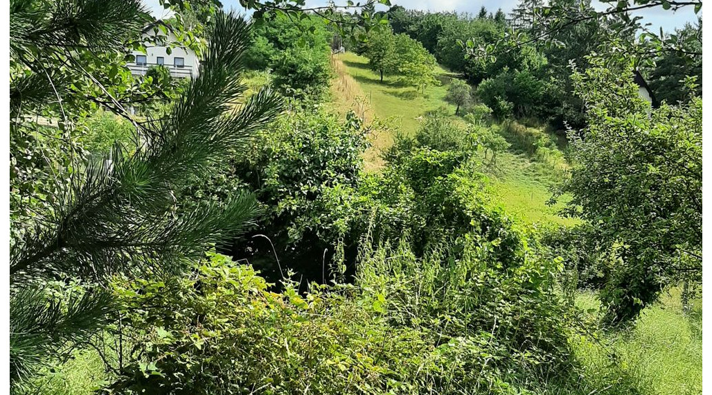 Pozemok na predaj - Stupava