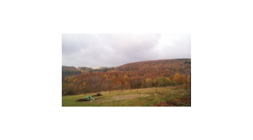 Pozemok / záhrada, na predaj, Dolná Súča, okres Trenčín