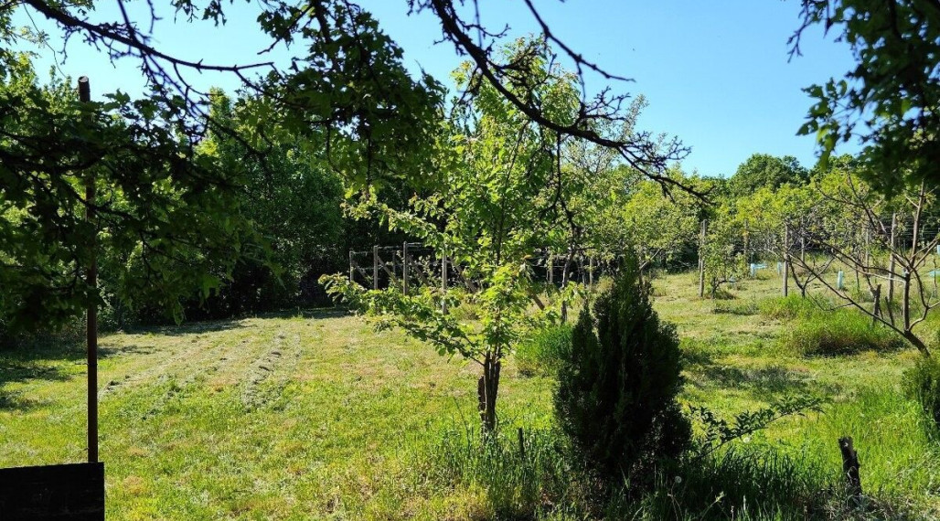 Na predaj krásna rekreačna záhradu o výmere 2169m², Pezinok