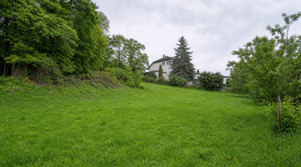 Ponúkame na predaj pozemok so starším rodinným domom, Búdkova ulica, Horský park
