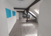 Reprezentatívne priestory na Palisádach, Tolstého, Bratislava I - fotografia 3