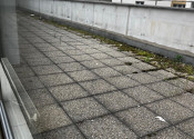 Predaj komerčného priestoru – Mickiewiczova14, Bratislava I - fotografia 5