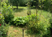 Murovaná záhradná chata s pozemkom 400 m² – Modra, Folegrunty - fotografia 4