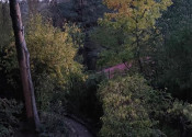 Na predaj výnimočný pozemok s rozlohou 533 m2  - fotografia 10