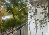 Na predaj priestranný 3,5-izbový byt s loggiou, 82,64 m² – Zimná ulica, Bratislava - fotografia 8