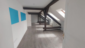 Reprezentatívne priestory na Palisádach, Tolstého, Bratislava I - fotografia 3