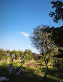 Na predaj záhrada v osobnom vlastníctve s výmerou 387 m2 - fotografia 5