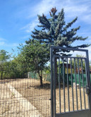 Na predaj pozemok – záhradu v osobnom vlastníctve s výmerou 387 m2 - fotografia 1