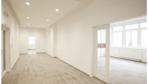 Kancelárie v historickej vile 732m2 + 13x PARKING, Palisády – Staré Mesto - fotografia 4