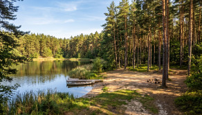Na predaj pozemok v Plaveckom Štvrtku s výmerou 163m2 - fotografia 1