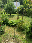 Murovaná záhradná chata s pozemkom 400 m² – Modra, Folegrunty - fotografia 4
