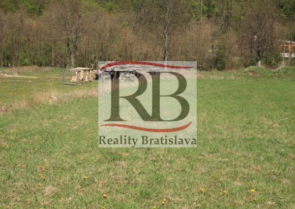 Pozemok na predaj Borinka 9900m2