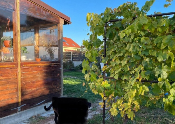 Záhrada na predaj TOP