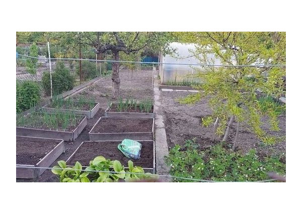 Záhrada na predaj - Bratislava