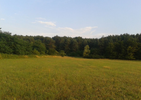 Stavebný pozemok, Jablonové, okres Malacky