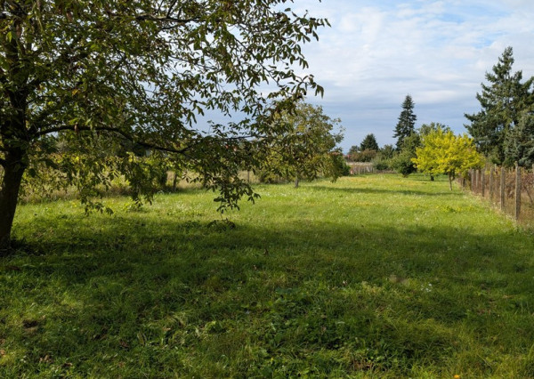 Stavebný pozemok, Viničné