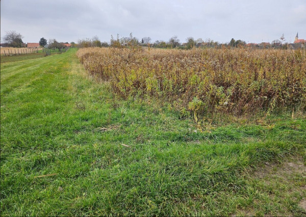 Investičný pozemok v meste Stupava